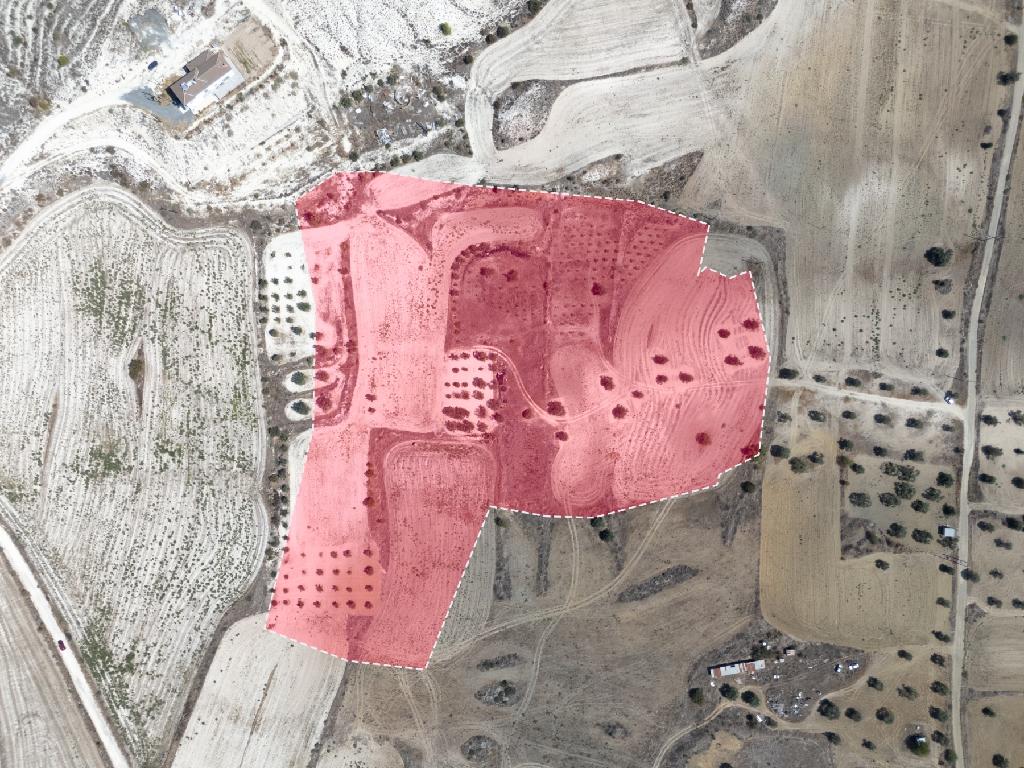 Field-Analiontas-PR41038