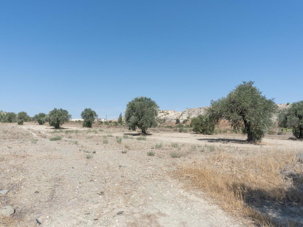 Field-Analiontas-PR41038