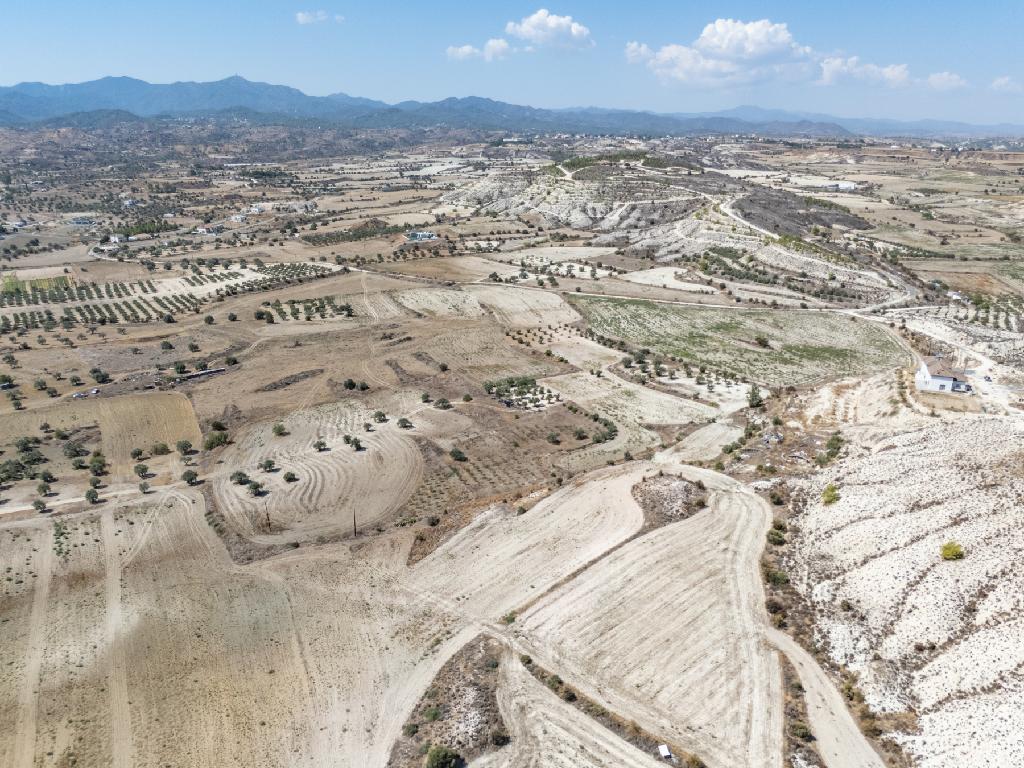 Field-Analiontas-PR41038