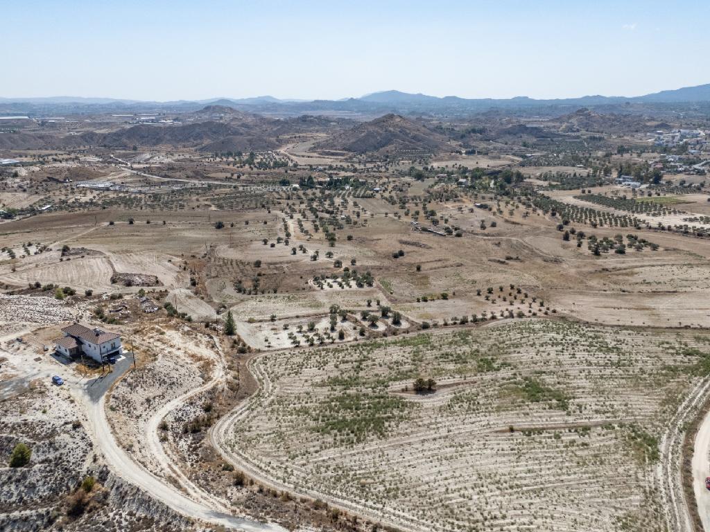 Field-Analiontas-PR41038