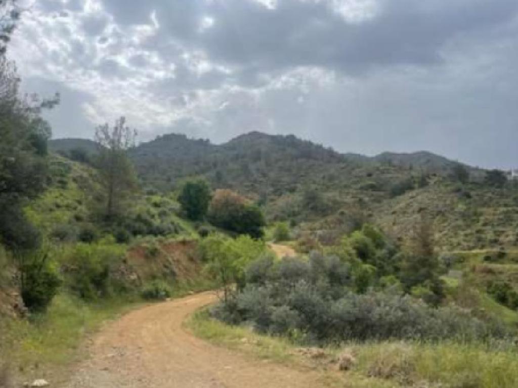 Field -Gourri, Nicosia