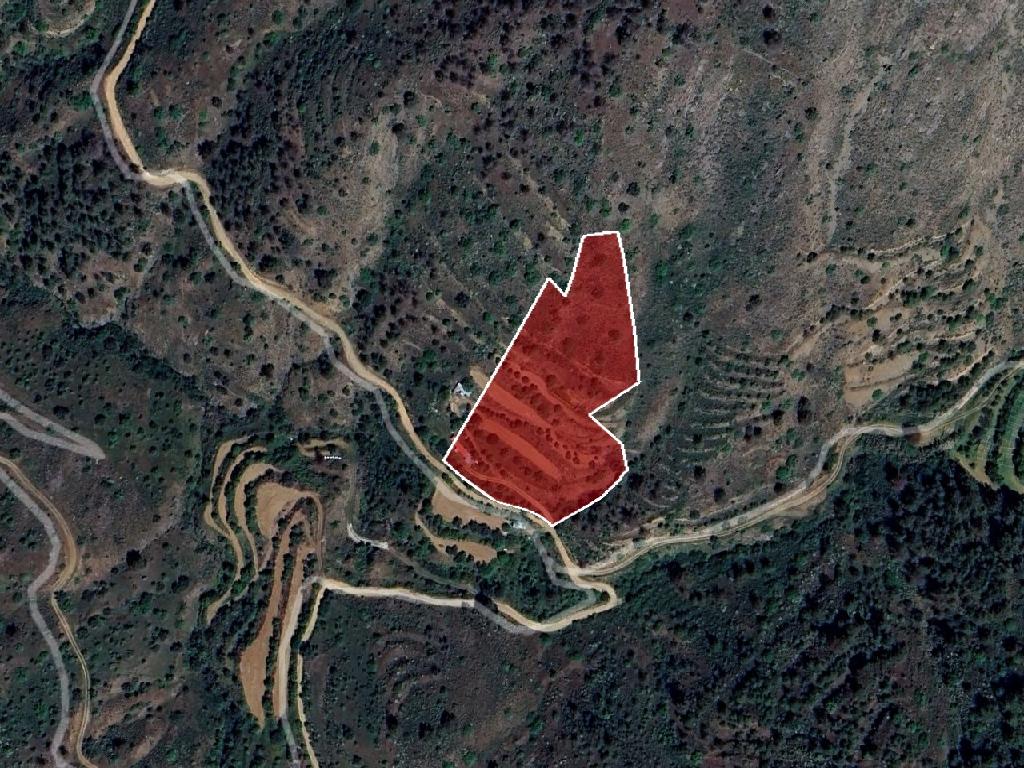 Field -Gourri, Nicosia