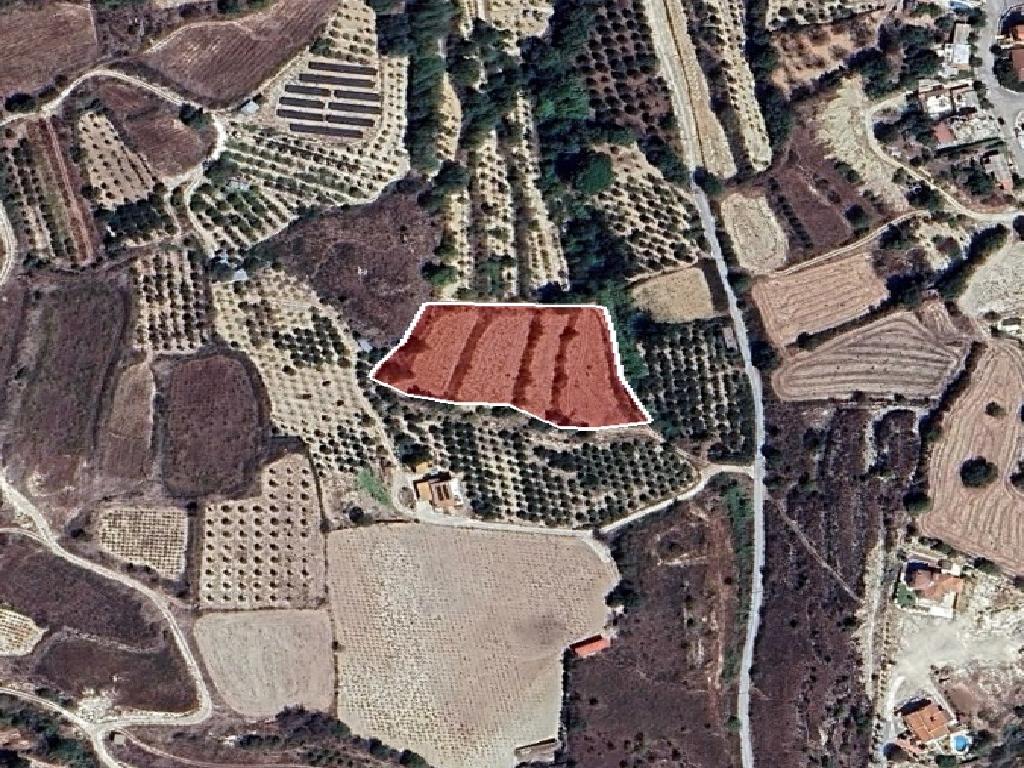 Field-Stroumpi-PR42652