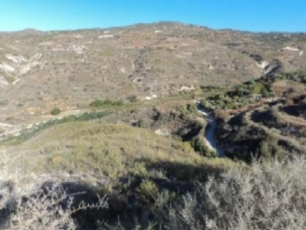 Field-Kedares-PR43017