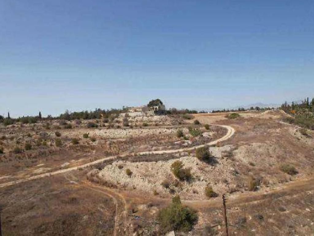 Field - Dali, Nicosia