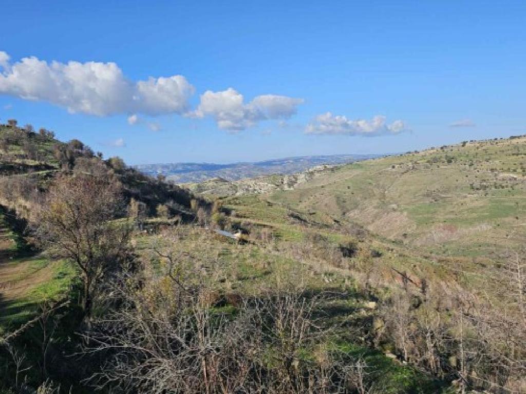 Field - Pentalia, Paphos