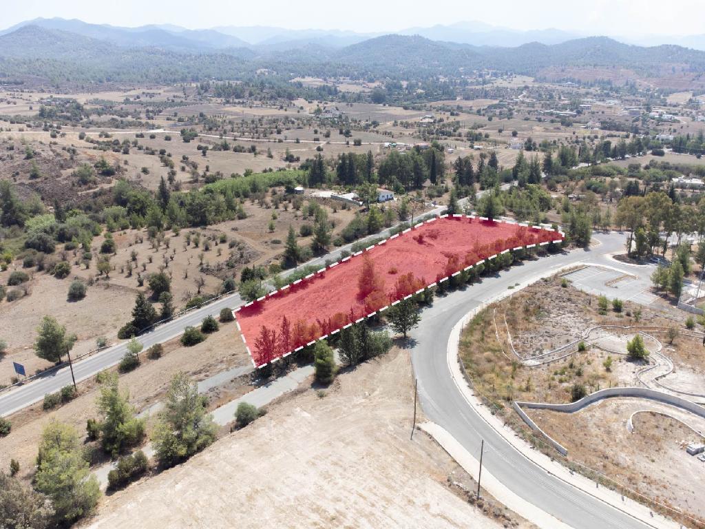 Field - Mitsero, Nicosia