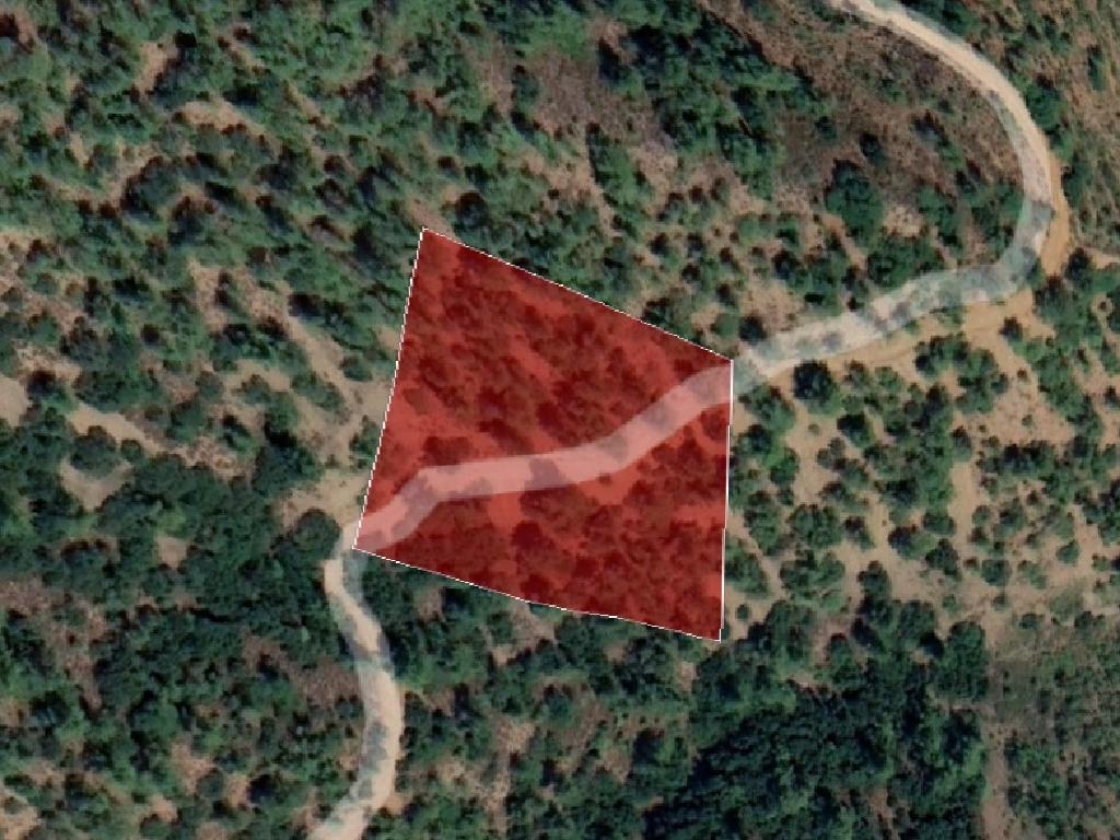Field-Gerakies-PR37441
