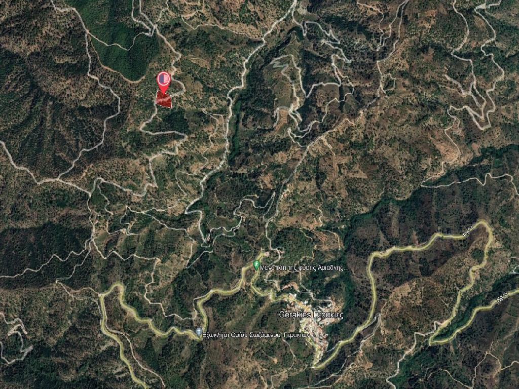 Field-Gerakies-PR37441