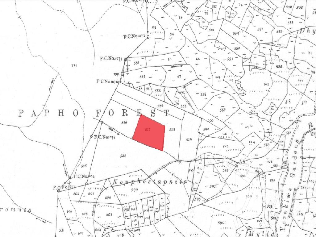 Field-Gerakies-PR37441