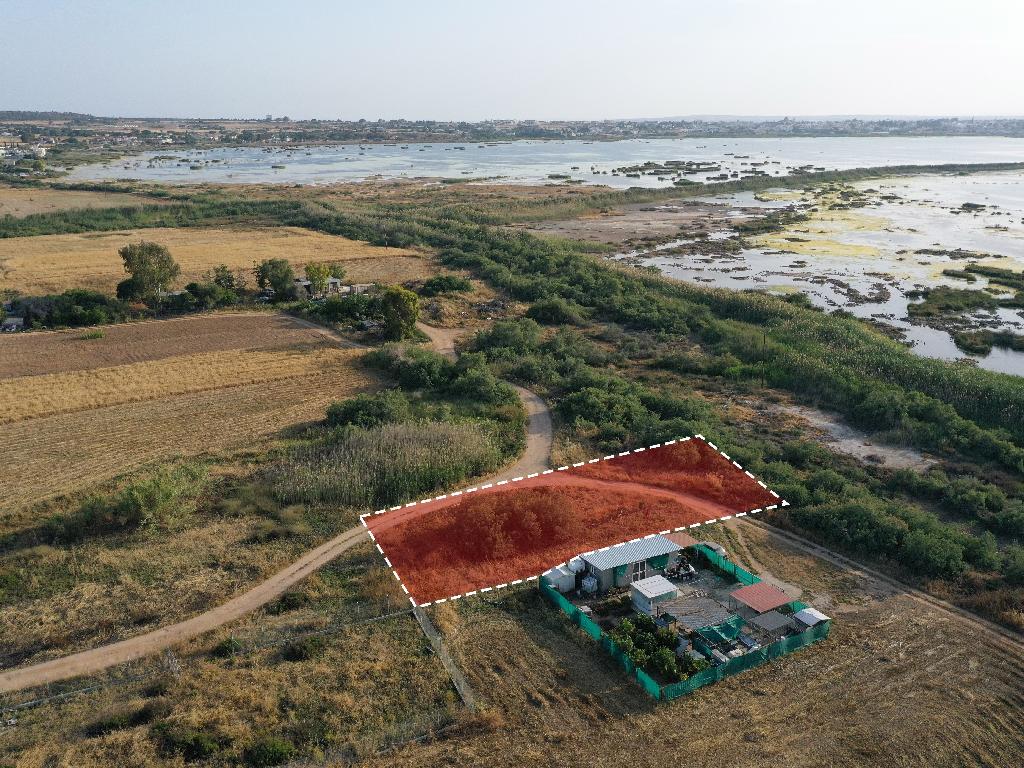 Field-Paralimni-PR37587