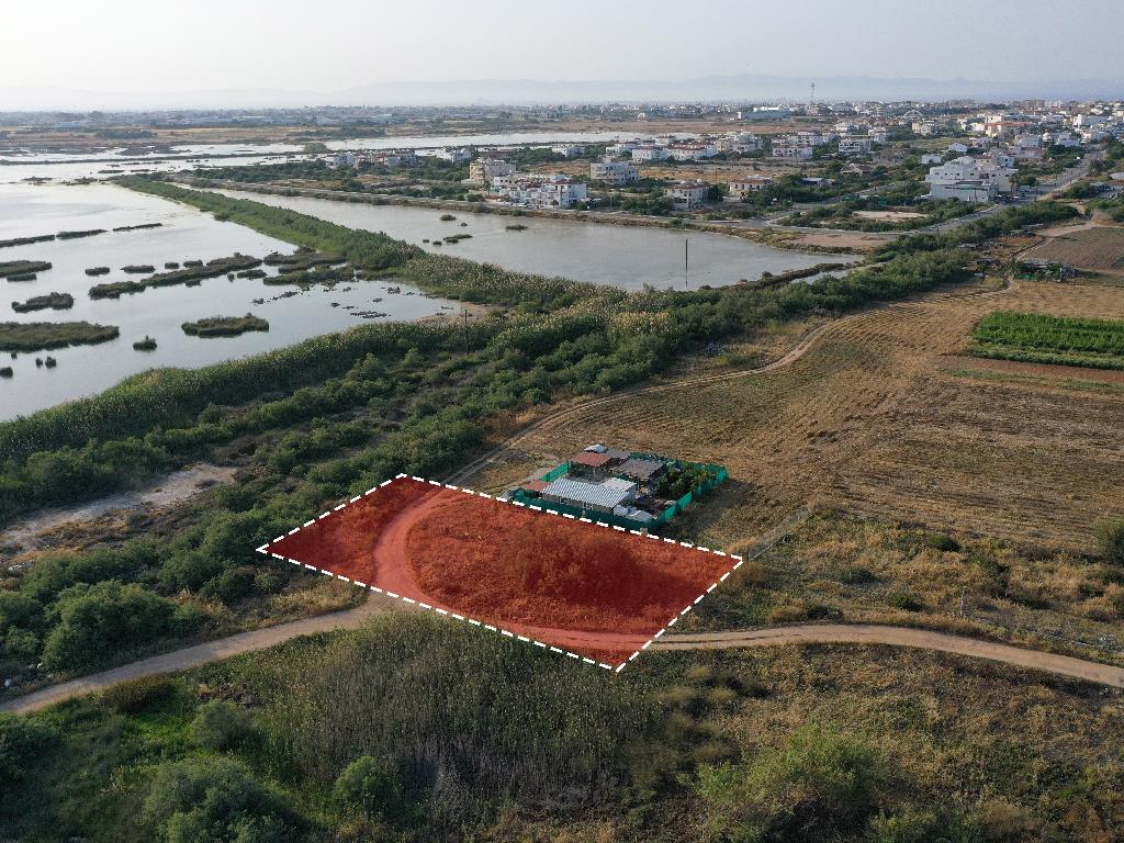 Field-Paralimni-PR37587