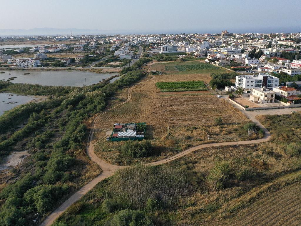 Field-Paralimni-PR37587