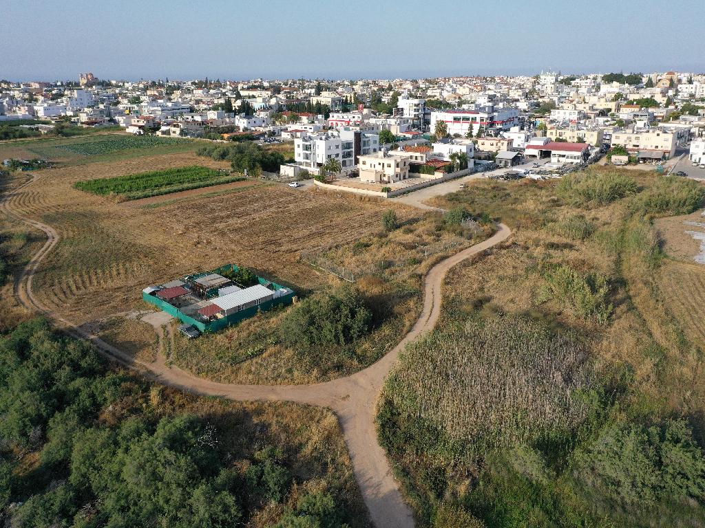 Field-Paralimni-PR37587