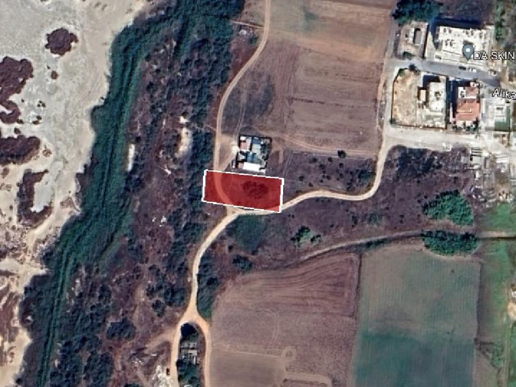 Field-Paralimni-PR37587