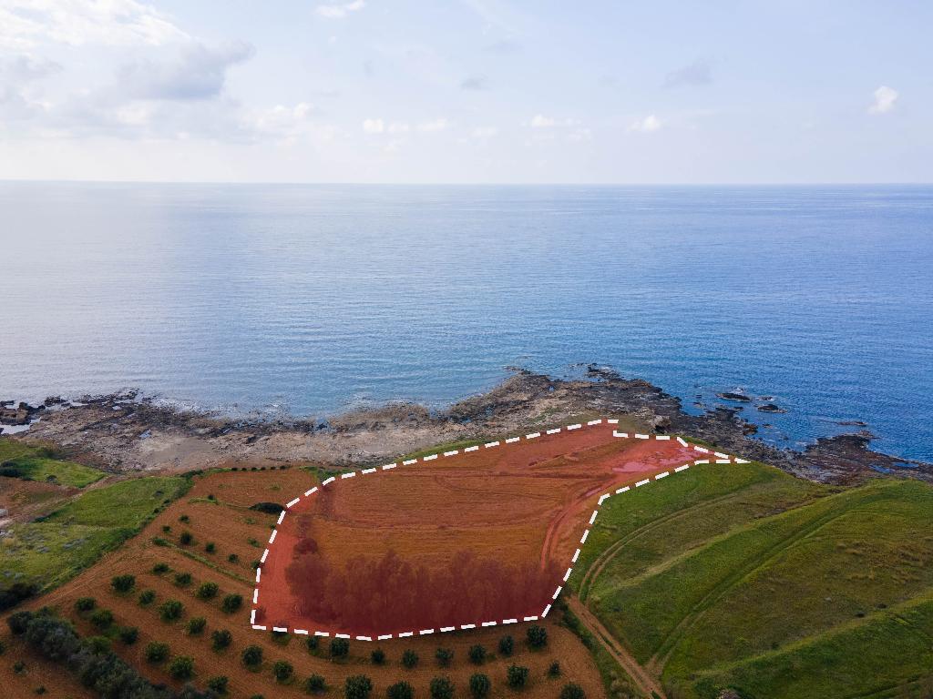 Beachfront Field (Share) - Pomos, Paphos