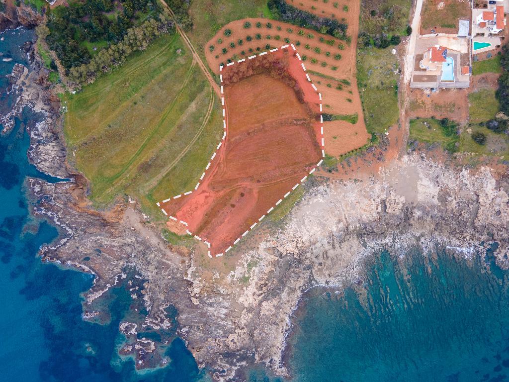 Beachfront Field (Share) - Pomos, Paphos