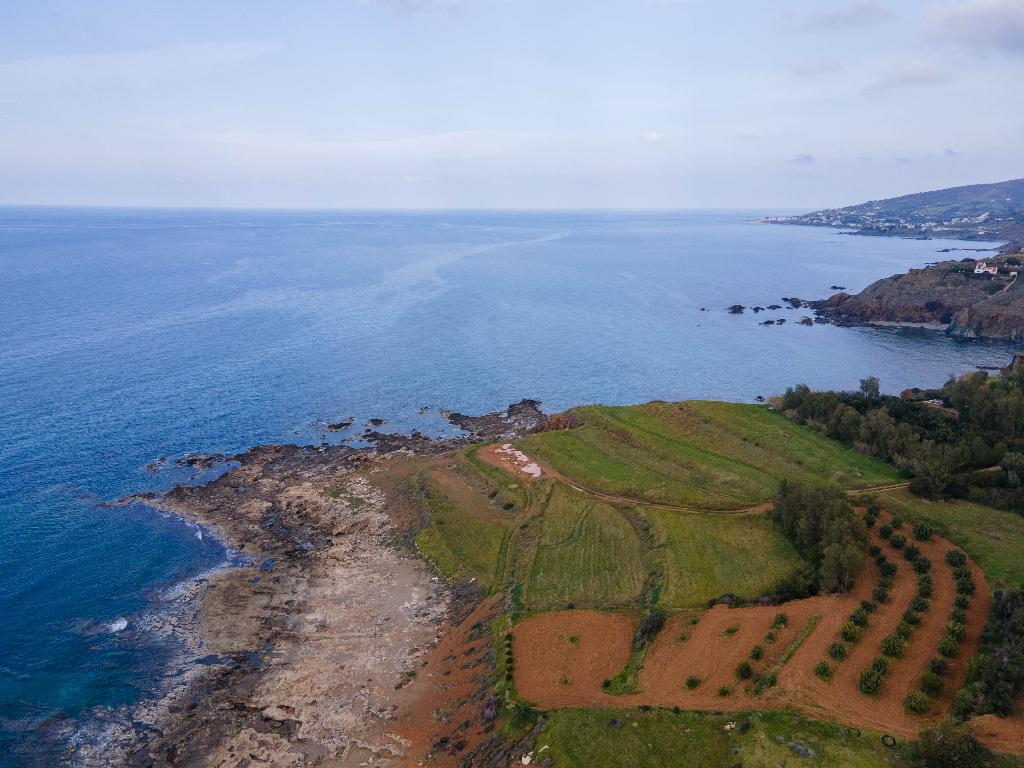 Field-Pomos-PR37826