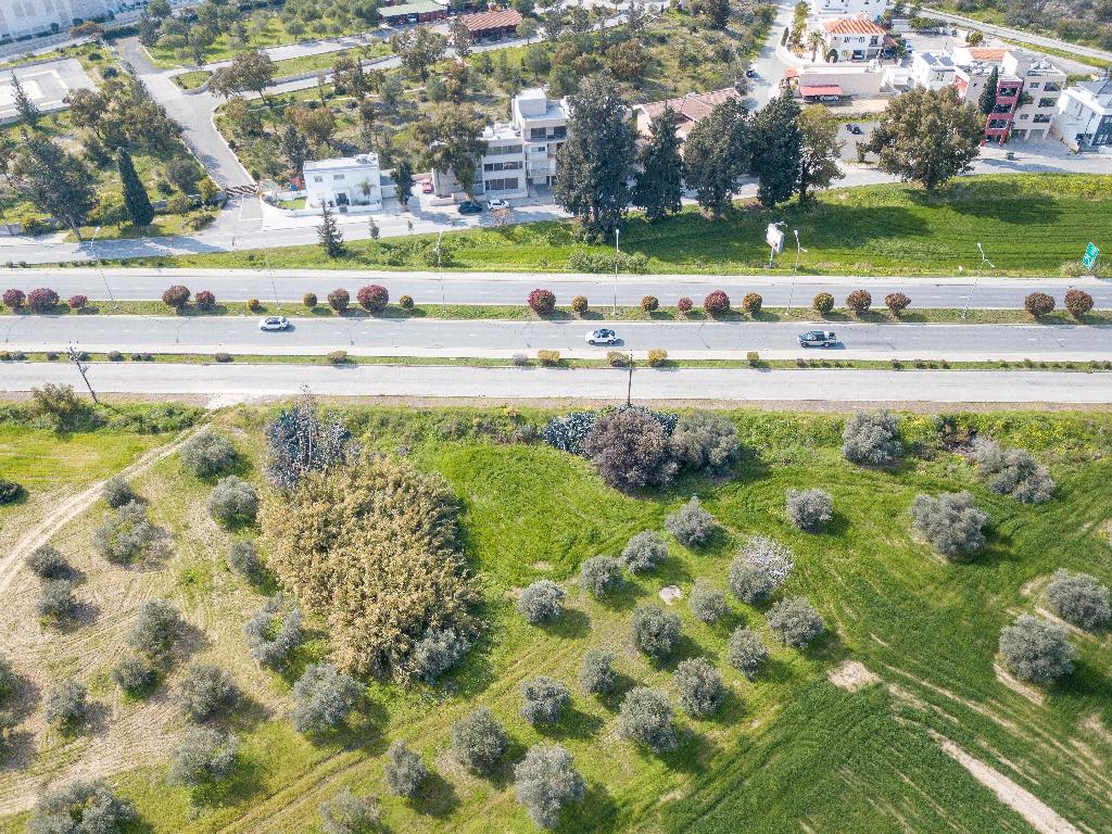 Field - Aradippou, Larnaca
