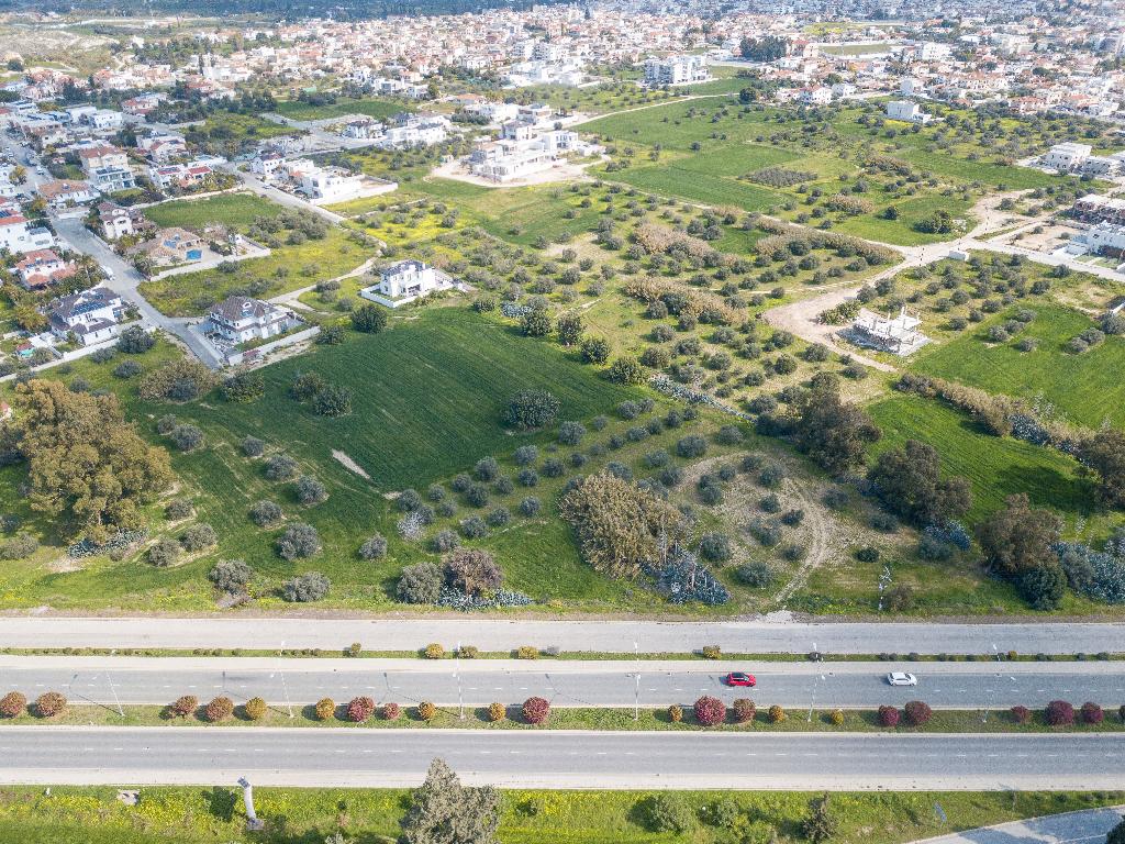 Field - Aradippou, Larnaca
