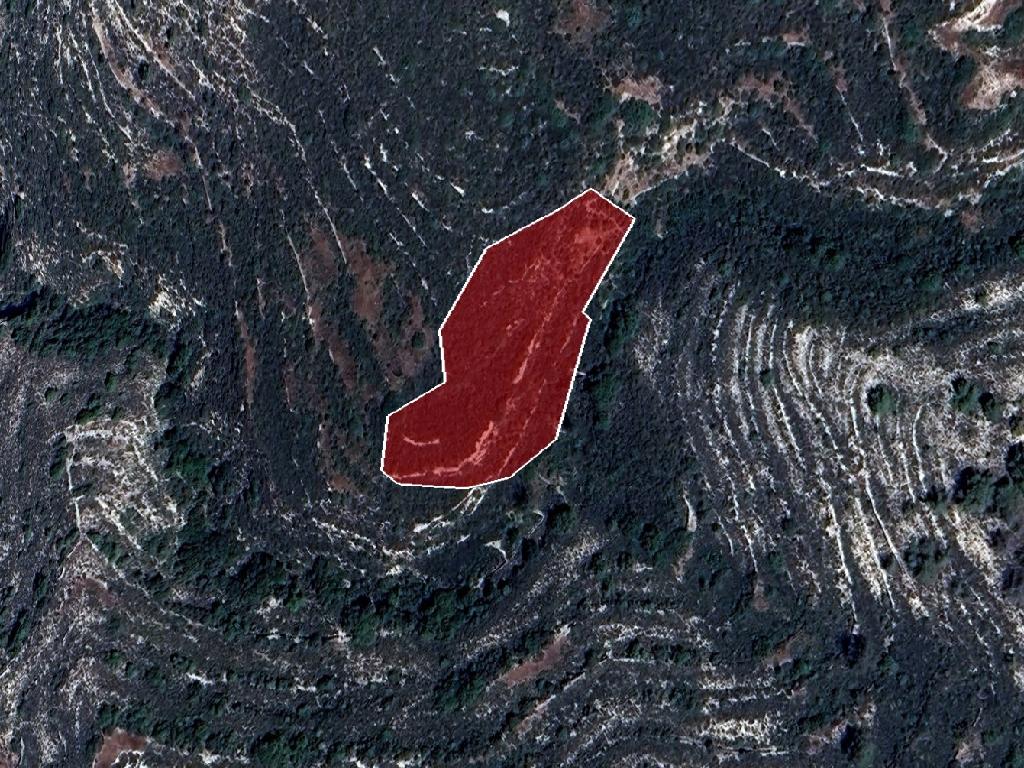 Field-Koilani-PR39281