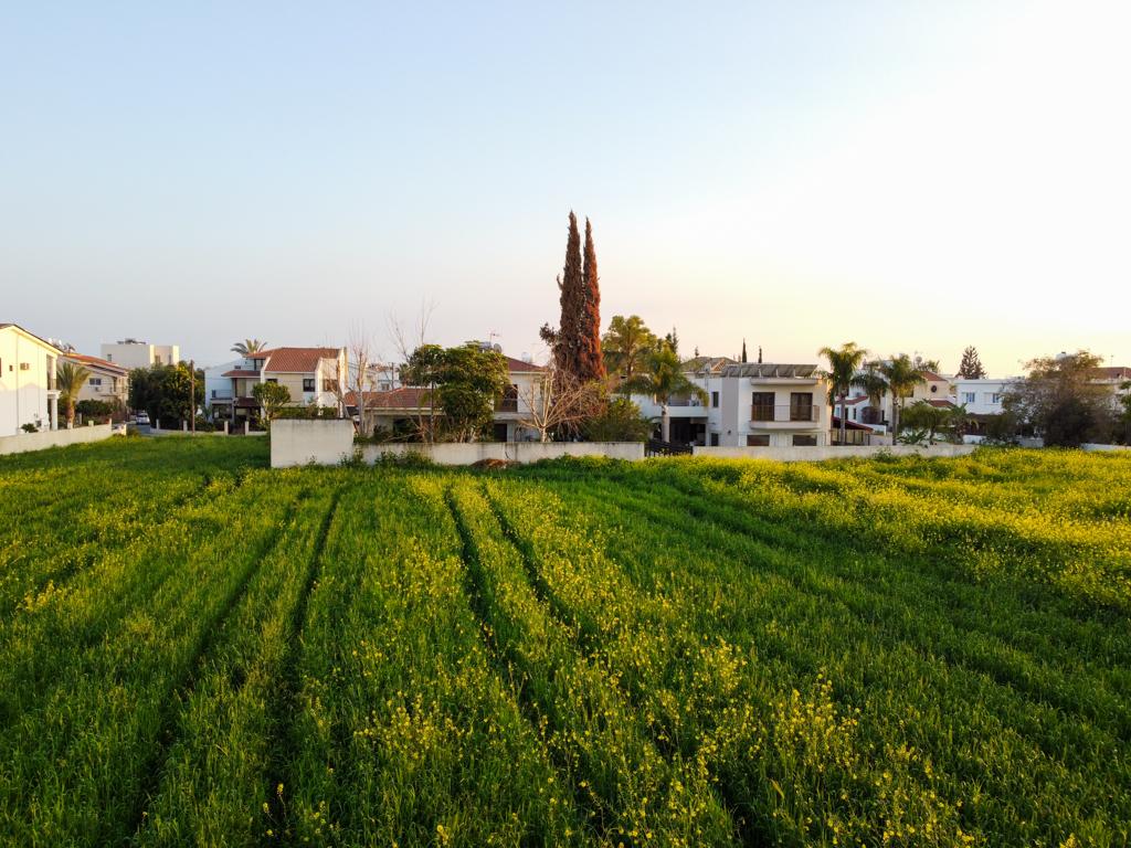 Field-Aradippou-PR39972