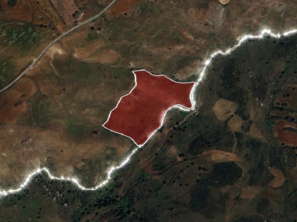 Field-Drouseia-PR40811
