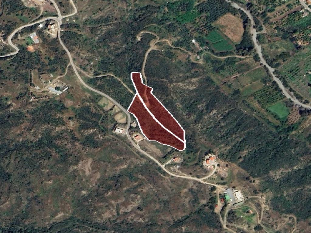 Field-Kato Pyrgos-PR41206