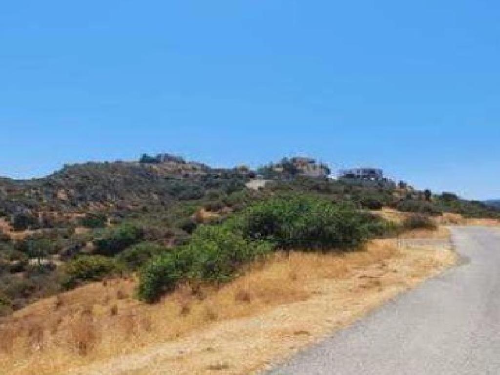 Field-Kato Pyrgos-PR41206