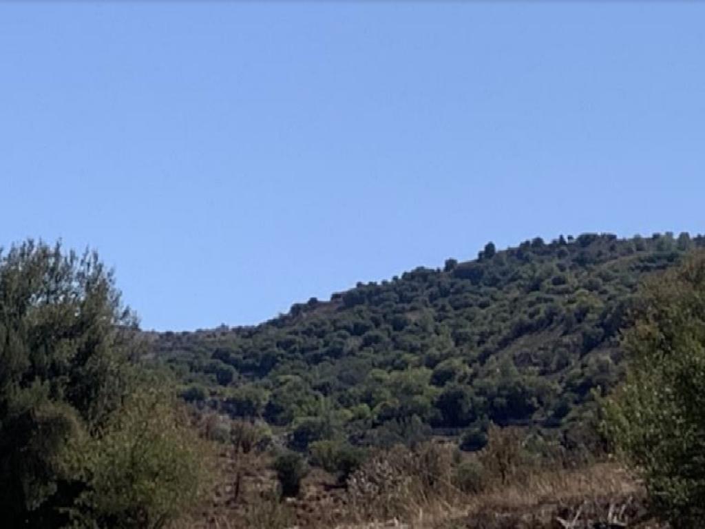 Field - Statos - Agios Fotios, Paphos