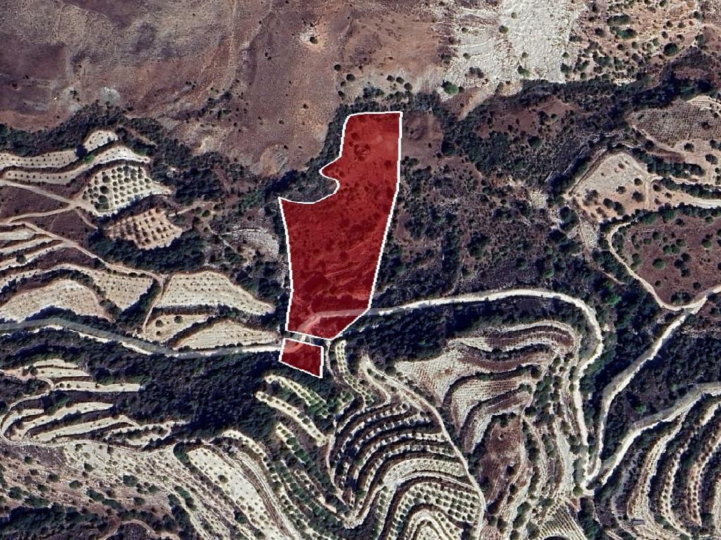 Field - Statos - Agios Fotios, Paphos