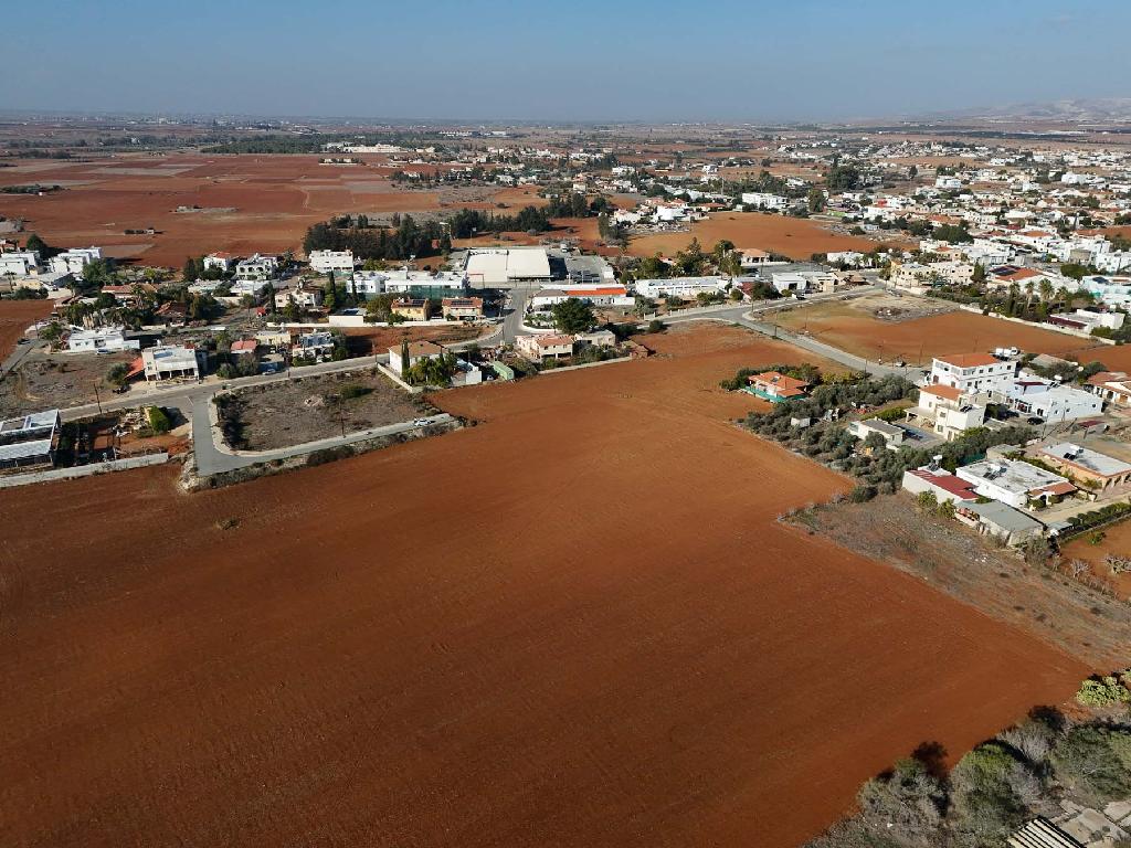 Field-Kokkinotrimithia-PR41371