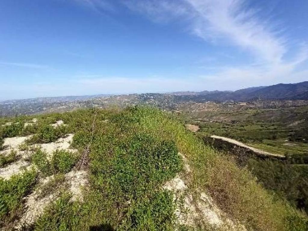 Field - Statos - Agios Fotios, Paphos