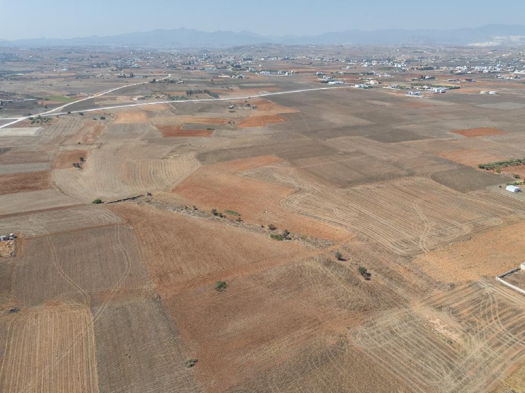 Field - Palaiometocho, Nicosia
