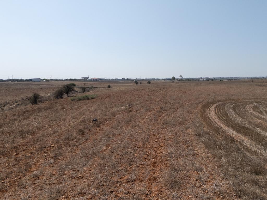 Field-Paleometocho-PR43188