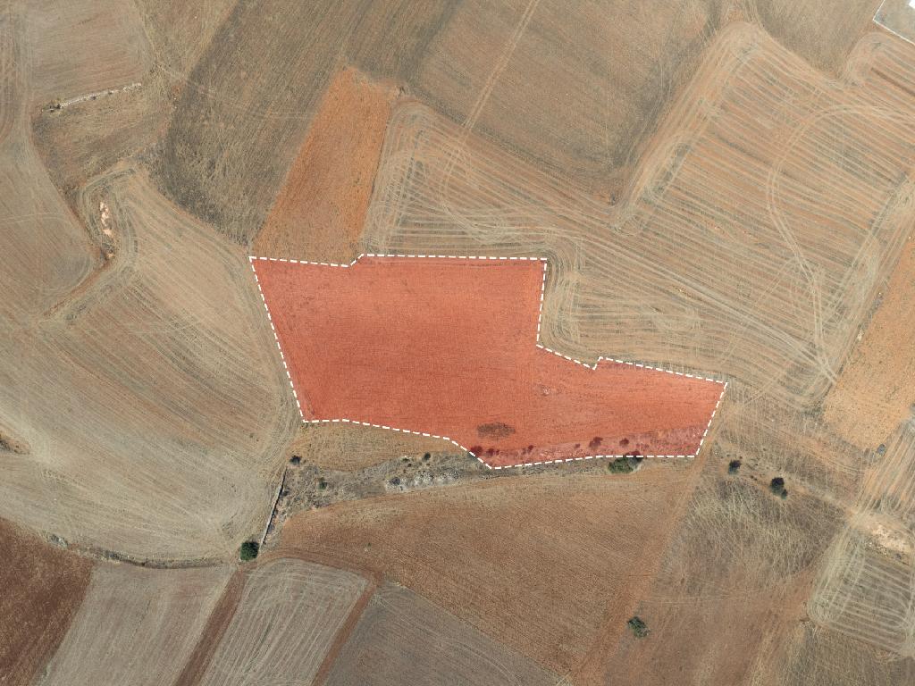 Field-Paleometocho-PR43188