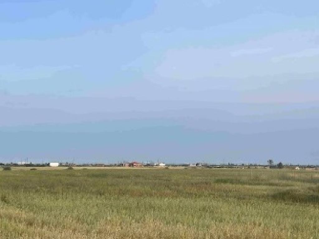 Field-Paleometocho-PR43188