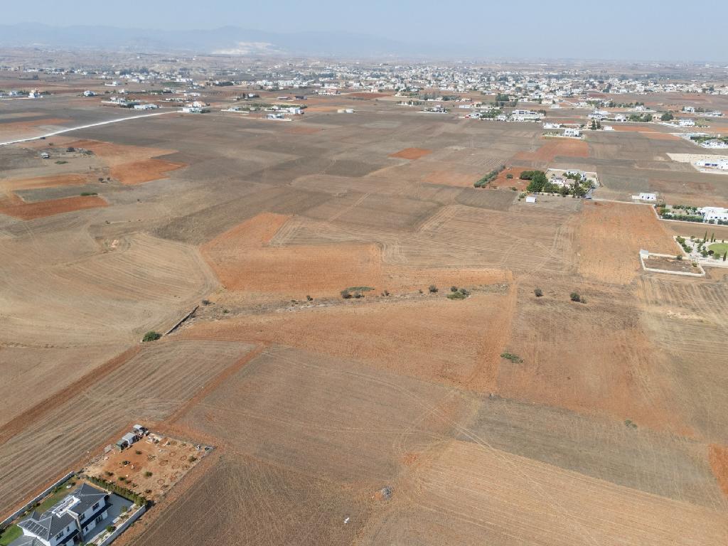 Field - Palaiometocho, Nicosia