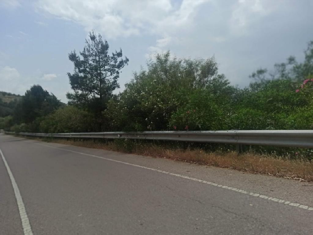 Field - Kelokedara, Paphos