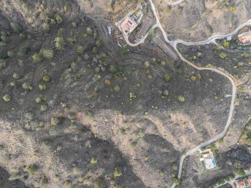 Field - Galata, Nicosia