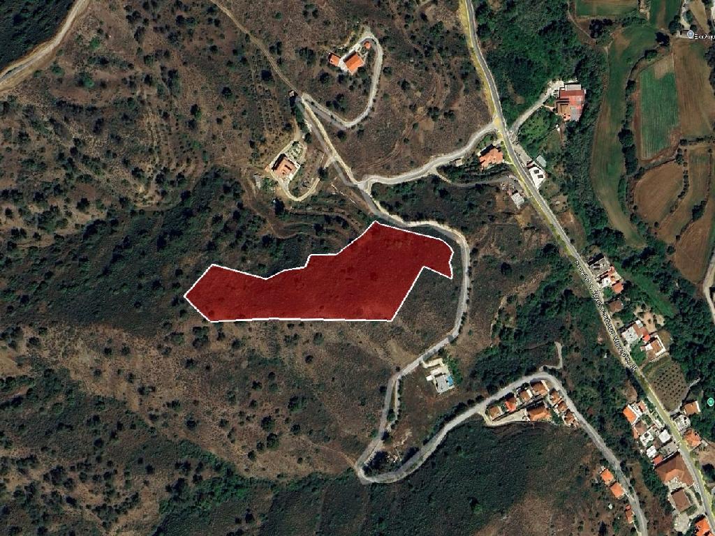 Field-Galata-PR44509