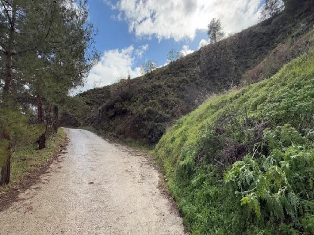 Field - Galata, Nicosia