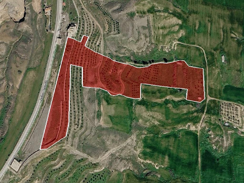 Field-Ergates-PR45884