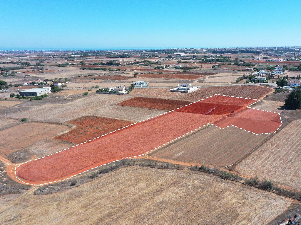 Field - Frenaros, Famagusta