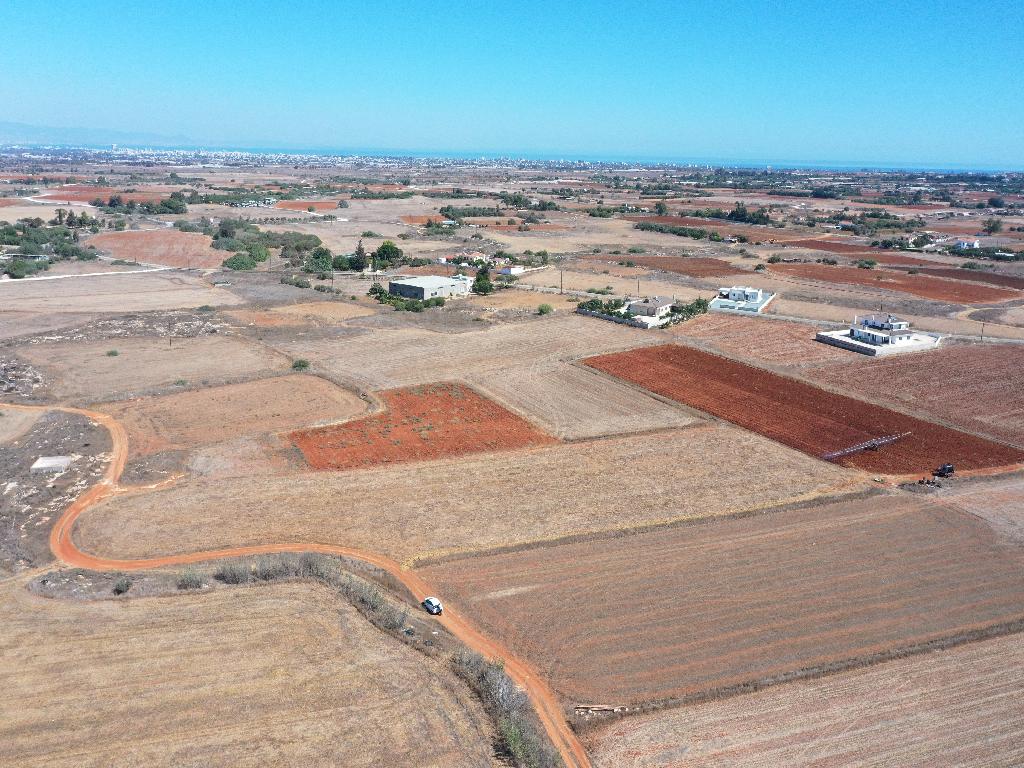 Field - Frenaros, Famagusta