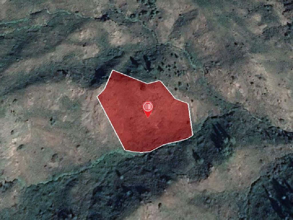 Field-Pigenia-PR13467