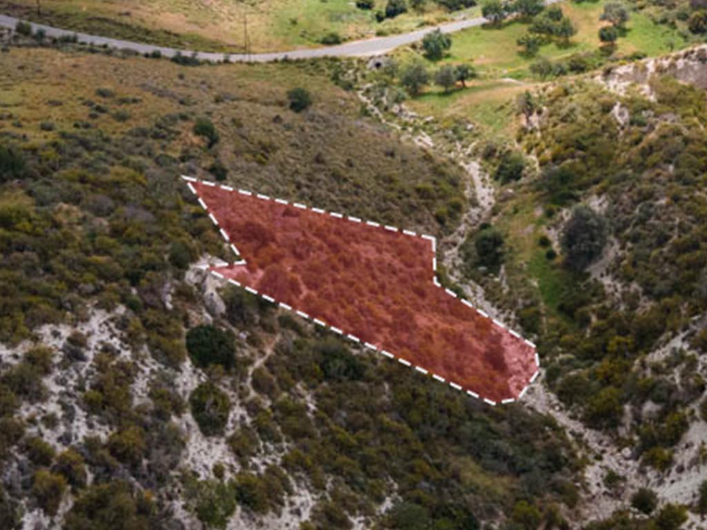 Field-Pegeia-PR11541