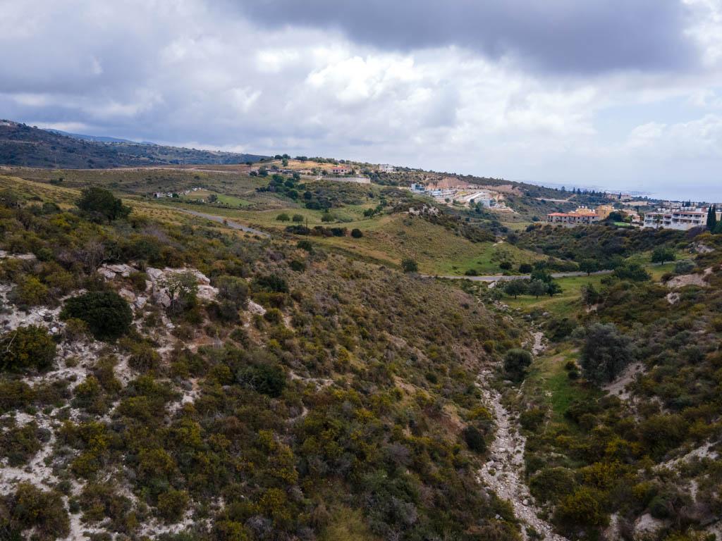 Field-Pegeia-PR11541