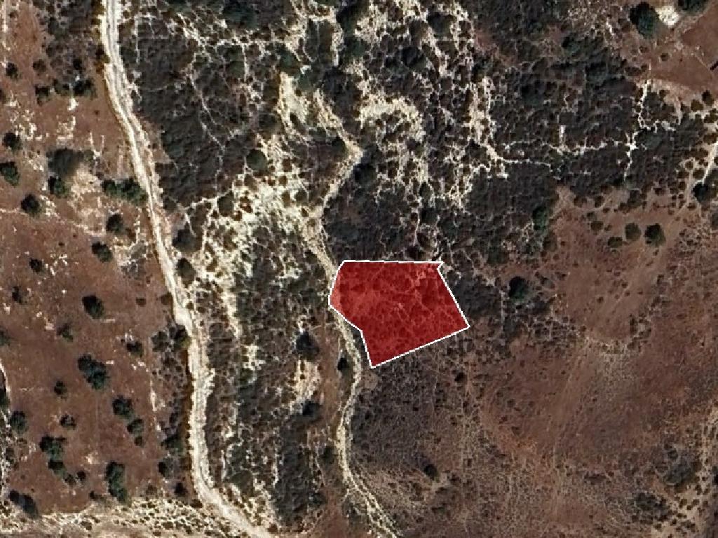 Field-Pegeia-PR11541