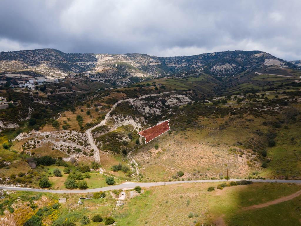 Field-Pegeia-PR11541